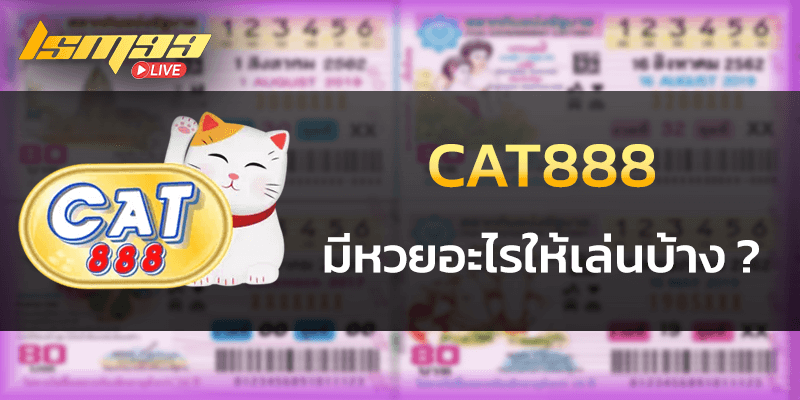 Login cat888 มีหวยอะไร