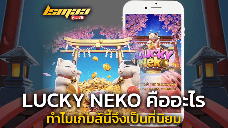 Lucky neko คืออะไร