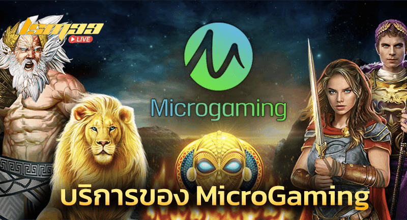 MicroGaming บริการอะไรบ้าง