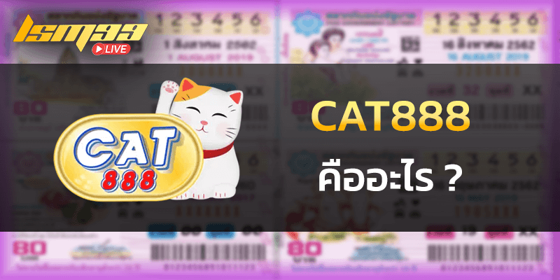 cat888 คืออะไร