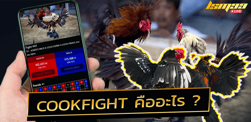 cookfight-คืออะไร