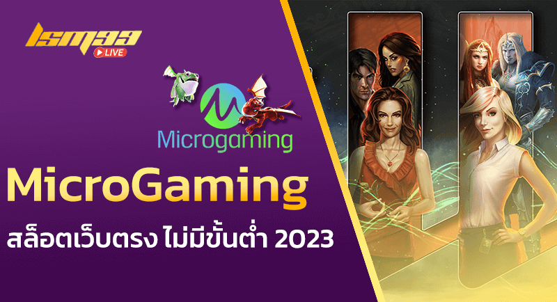 MicroGaming