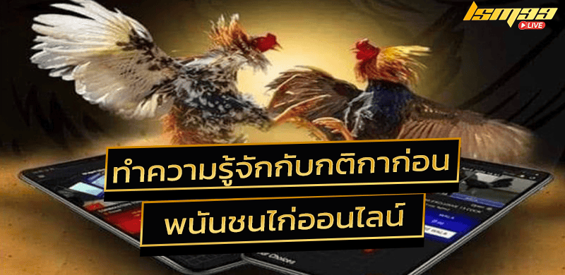 กติกา cookfight ไก่ชน ออนไลน์