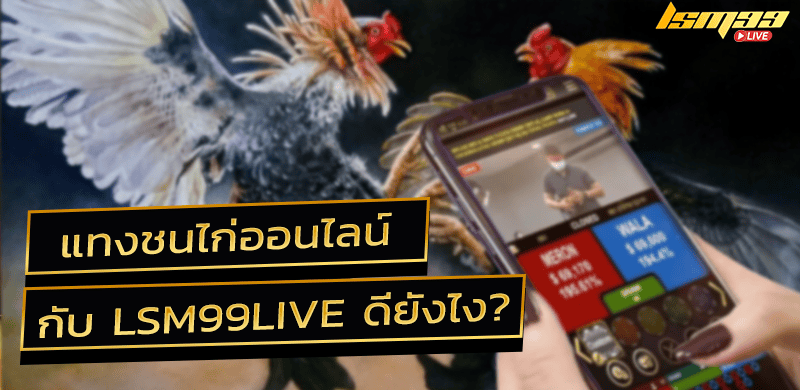 พนันตีไก่ชนออนไลน์ ดีอย่างไร