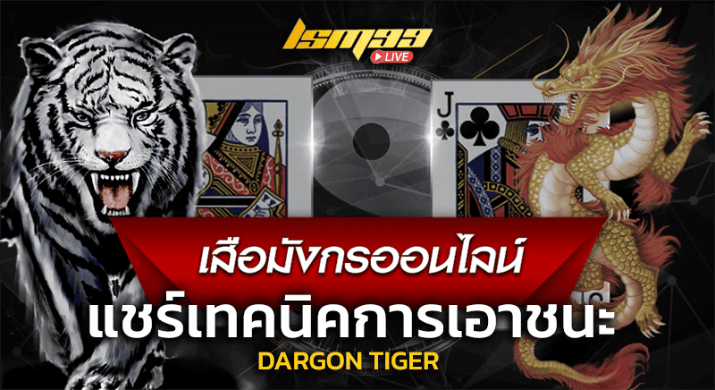 เทคนิคชนะเกม dargon tiger