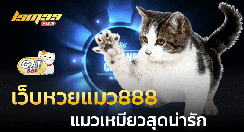 เว็บหวยแมว888