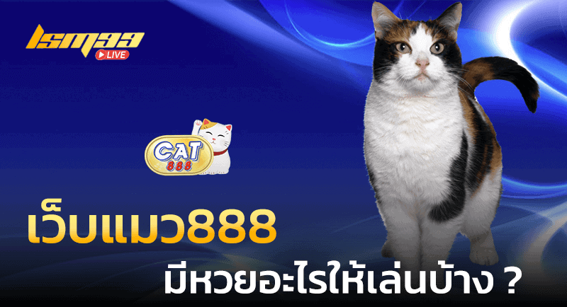 เว็บแมว888 มีหวยอะไรให้เล่นบ้าง