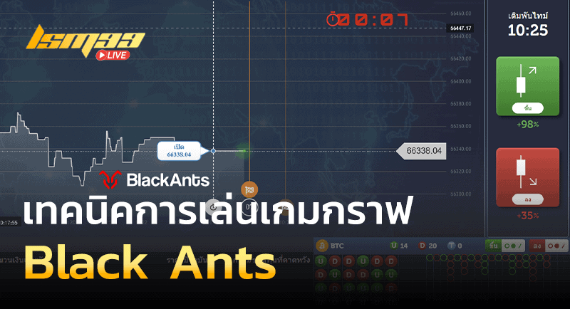 เทคนิคการเล่น Black Ants