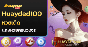 Huayded100