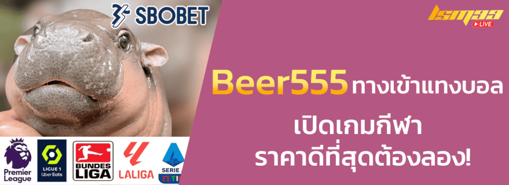 beer555 ทางเข้า