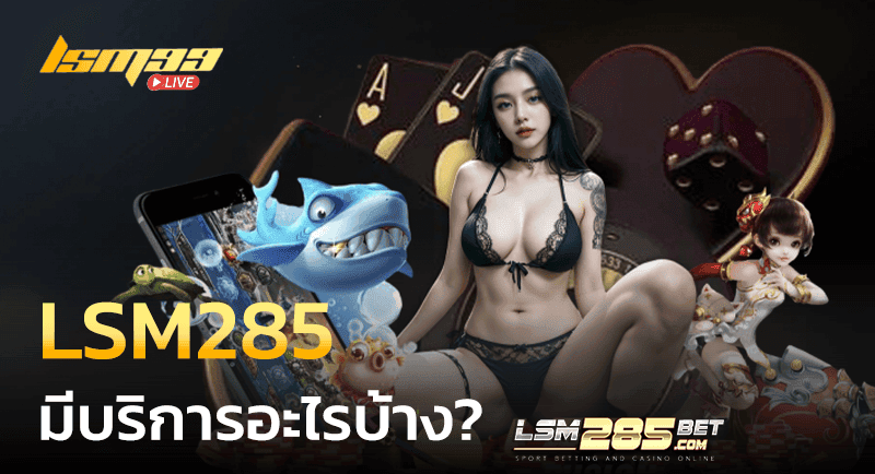 LSM285 มีบริการอะไรบ้าง