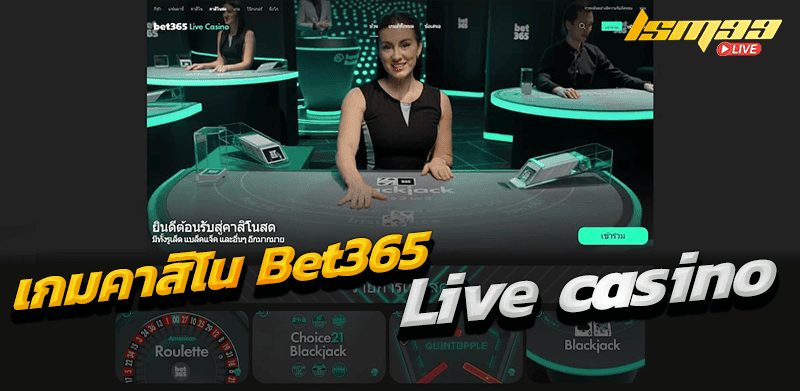 Live casino 365